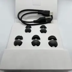 Soundcore Liberty 4 pro イヤーピース　USBケーブル