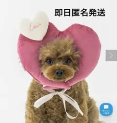 Item thumbnail for item bbb76be4-fd74-48c9-a8d6-5729bd21e608