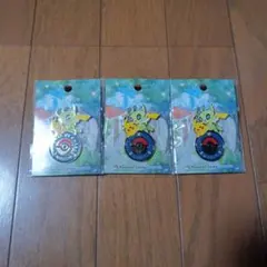 名古屋限定　ポケモンセンター名古屋　ロゴピンズ　3個セット