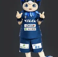 をちゃん専用