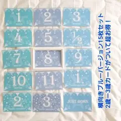 ハンドメイド★横向きバージョン★北欧★月齢★マンスリーカード★15枚