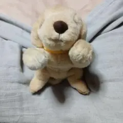 犬 ぬいぐるみ イエロー