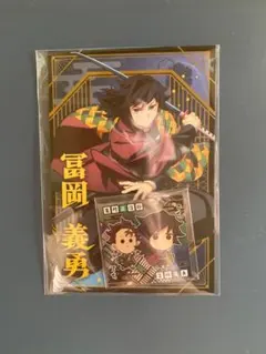 鬼滅の刃 冨岡義勇 ポストカード ミニシールセット