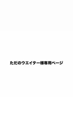 専用ページ