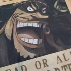 値下げONE PIECE マーシャル・D・ティーチ 手配書 ポスターのサムネイル