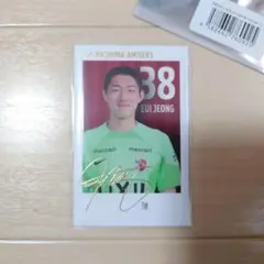 パクウィジョン インスタントフォトカード