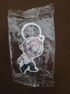 【イブラヒム】めじるしチャーム