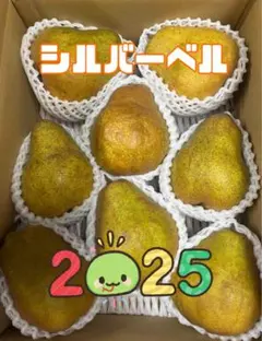 ちぃ様専用 2箱同梱発送