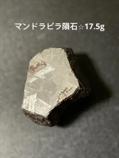 2025年最新】マンドラビラの人気アイテム - メルカリ