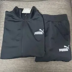 プーマ PUMA TAPE ポリ トレーニングスーツ 678476 上下セット