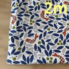 Item thumbnail for item 15131e7a-0389-429f-a72e-759207d1815a