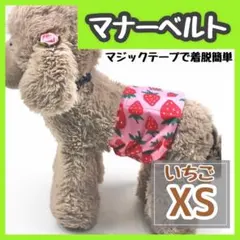 Item thumbnail for item c8f5be06-bcd5-4da0-a1f7-1e35aa719730