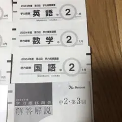 2026年最新】学力推移調査中2第3回の人気アイテム - メルカリ