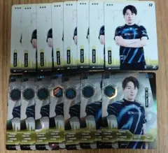 2025夏季IJLカード ZETA Hametu まとめ売り