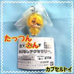 【☆即購入⭕☆】からぴち たっつんさん めじるしアクセサリー ガチャガチャ