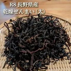 新物 徳島産 肉厚乾燥ぜんまい 超極太 極上物 100g 山菜 乾燥ゼンマイ