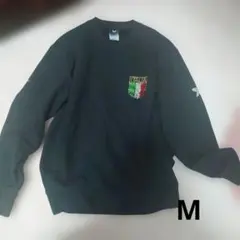 Item thumbnail for item dc1547d5-8114-4574-9e73-48eef4f2cb1f