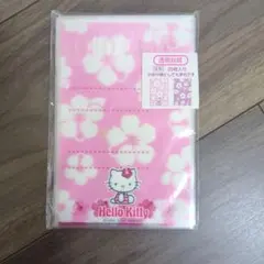 平成レトロ レア ハローキティ トロピカルフルーツ ハイビスカス 透明 