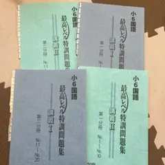 2026年最新】浜学園 小6 最高レベル特訓 テキストの人気アイテム