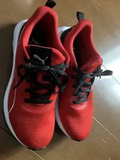 Item thumbnail for item 7a232966-2206-4229-aa9b-86c91a34fb73