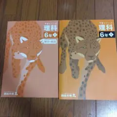 四谷大塚 予習シリーズ 理科 6年 上 解答と解説セット