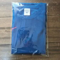 Item thumbnail for item 8383a94c-cb41-4df3-a5c3-f527a109b799