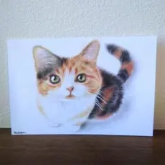 猫❤️ネコ ねこ 原画　鉛筆画　絵画　手描き イラスト Lサイズ！！ 猫❤️ネコ ねこ 原画 鉛筆画 色鉛筆画 絵画 手描き イラスト A5サイズ