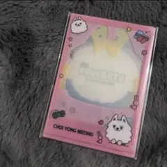 新品 TXT PPULBATU PHOTOCARD L SLEEVE SET