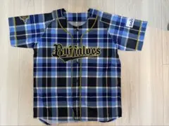 Item thumbnail for item 66c6c38f-49df-47b1-a251-0da97dc2c364