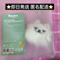 txt プルバトゥ ポップアップ フェイスキーリング スビン チェヨンモン