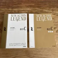 NEW ACTION LEGEND 数学 C 思考と戦略　解答編付き