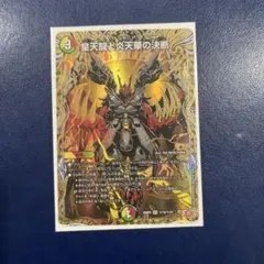 パーフェクトボルフェルノシークレット6枚セット専用商品 パーフェクトボルフェルノ シークレット - メルカリ