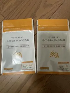 サジーによくあう らくさん菌とにゅうさん菌 2袋セット - メルカリ