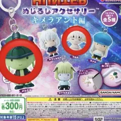 HUNTER×HUNTER めじるしアクセサリー キメラアント編