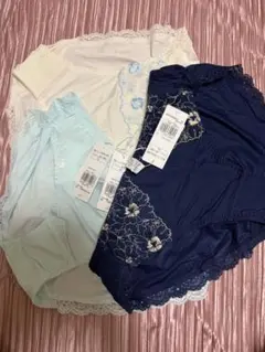 トリンプ美胸フィットブラ アザレア レギュラーショーツLLサイズ３枚セット