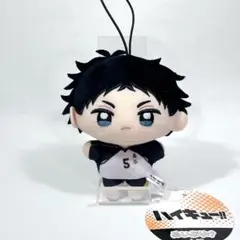 2026年最新】赤葦京治 ぬいぐるみ くじの人気アイテム - メルカリ