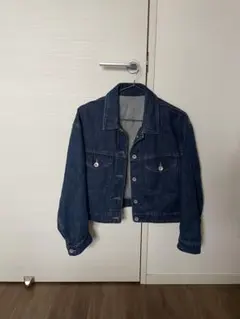 ユニクロ　Gジャン