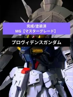 【✨塗装/完成品✨】MG プロヴィデンスガンダム