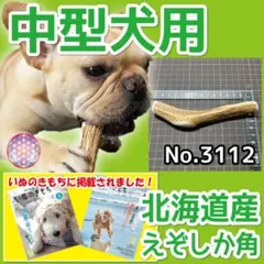 中型犬用 エゾ鹿の角 1本 北海道産 蝦夷鹿 犬のおもちゃ 31129のサムネイル