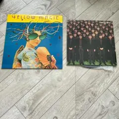 MAE The Everglow LP レコード　20周年　限定盤 MAE The Everglow LP レコード 20周年 限定盤 - メルカリ