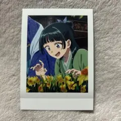 薬屋のひとりごと　ぱしゃこれ　猫猫　11