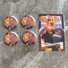 【僕のヒーローアカデミア】 ヒロアカ エンデヴァー アニマル 缶バッジ セット