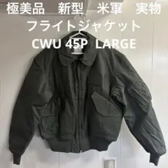 極美品　新型　米軍実物　フライトジャケット　CWU45P LARGEノボロイドのサムネイル