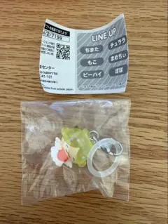 JOCHUM めじるしアクセサリー　ジェオチャム