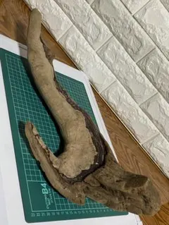 Item thumbnail for item 8cc5a1a4-3a73-45cf-8a03-0e9743ac720c