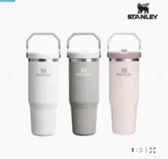 STANLEY スリムタンブラー 500ml ホワイト・ブラック・ブロンズ - メルカリ