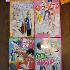時間割男子11　総長さま、溺愛中につき。