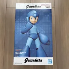 2026年最新】grandista ロックマンの人気アイテム - メルカリ