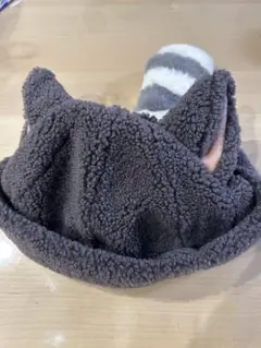 ロストキッズ アライグマ ファンキャップ グレー