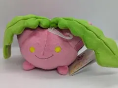 2025年最新】ハネッコ ぬいぐるみの人気アイテム - メルカリ